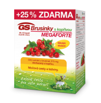 GS Brusinky