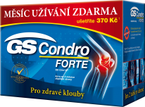 GS Condro Forte